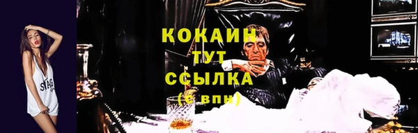 стафф Балахна