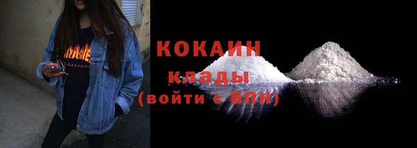 ГАЛЛЮЦИНОГЕННЫЕ ГРИБЫ Арсеньев