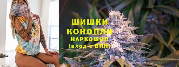 ГАЛЛЮЦИНОГЕННЫЕ ГРИБЫ Балабаново