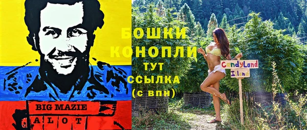 ГАЛЛЮЦИНОГЕННЫЕ ГРИБЫ Балабаново